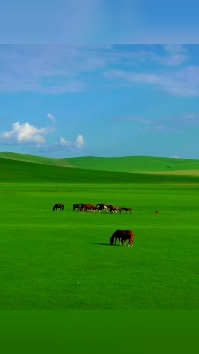 van动漫 剧情带有悬疑和黑暗色彩