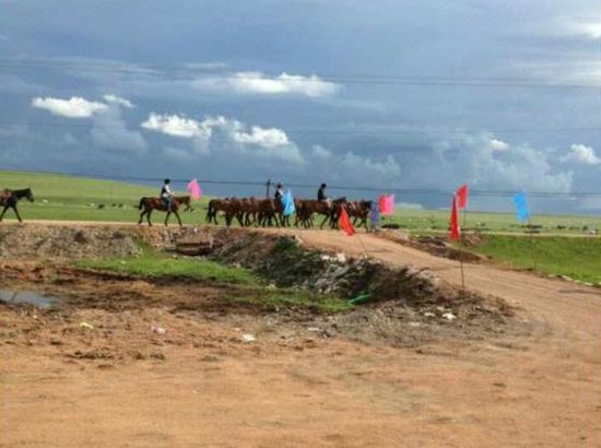 ワンピースのエロ官网