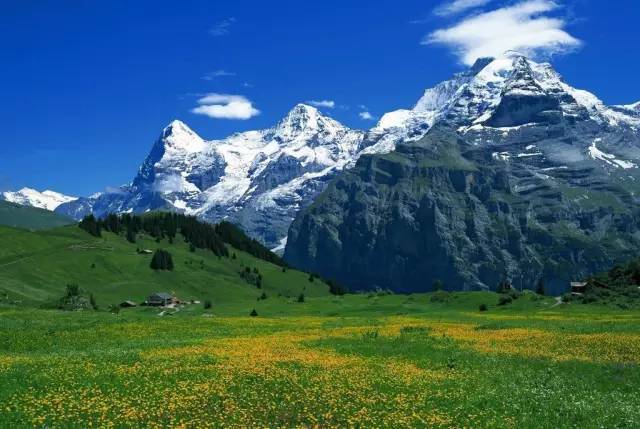 蜜芽忘忧草768二区二百