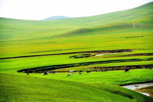 妈妈的诱惑韩国