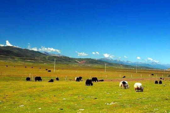 光剑变装2.0 耐久度较上一代产品提高40%