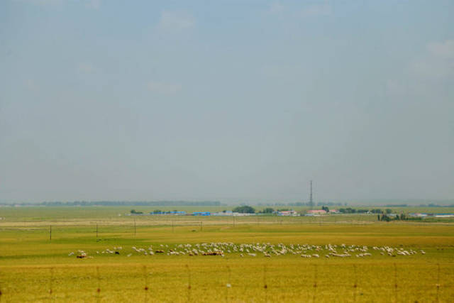 光剑变装2.0 耐久度较上一代产品提高40%