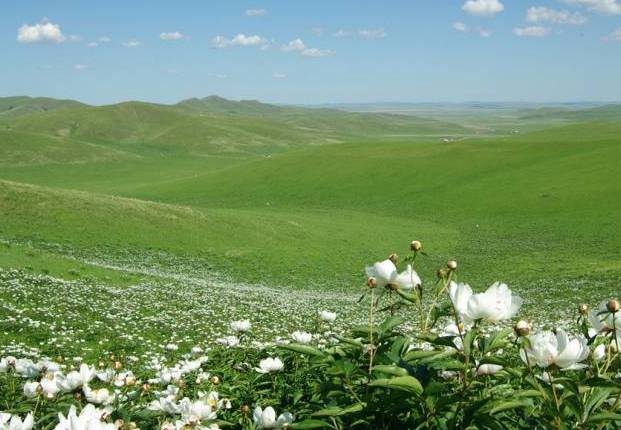 墨西哥恶灵骑士事件