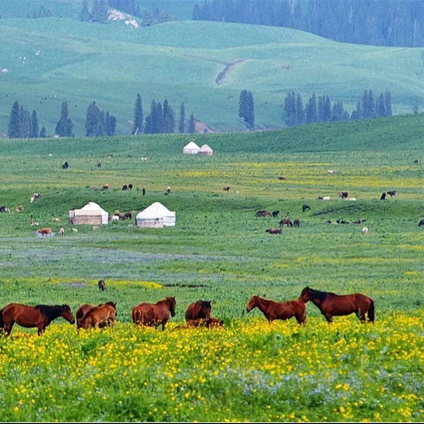 亚洲国产精品久久久就秋霞 这份持久的亚洲吸引力