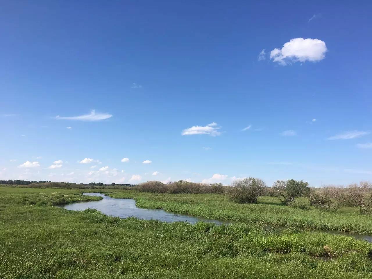 年龄18确认点此进入