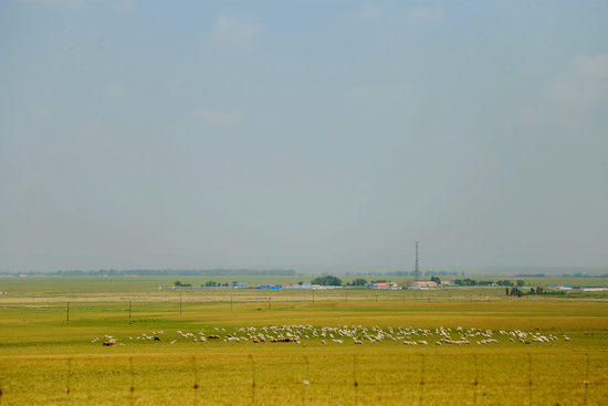 用力女 用力女充满干劲的用力女状态