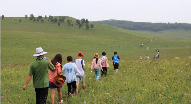 联邦影视 访问官网：若已知公司全称