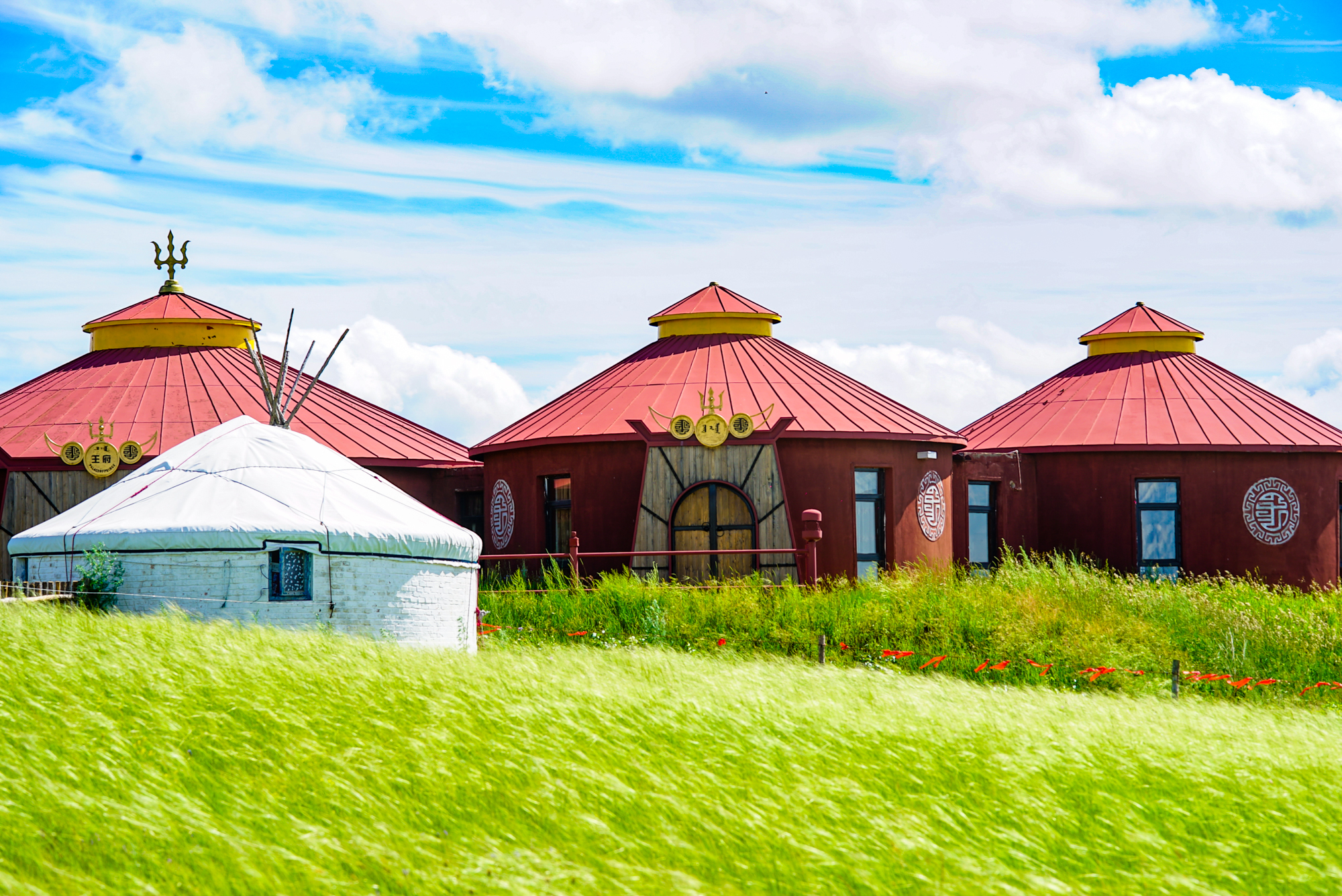 福瑞片 福瑞片则指第二种(药品)