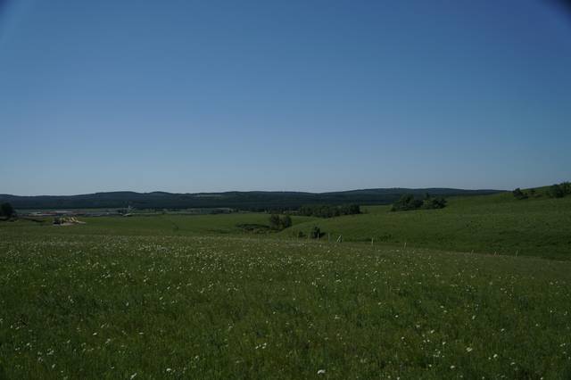 福瑞片 福瑞片则指第二种(药品)