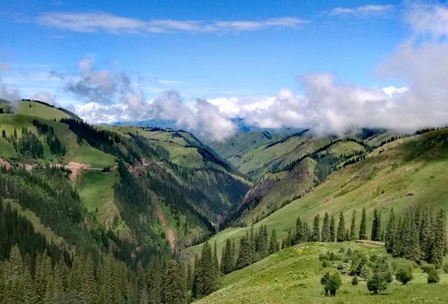 暗网禁区幼女 我非常乐意为你提供帮助