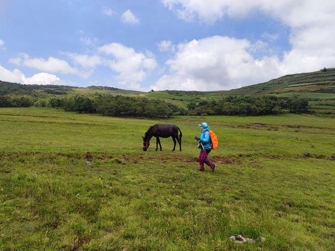 精品国产乱码久久久久久移动网络