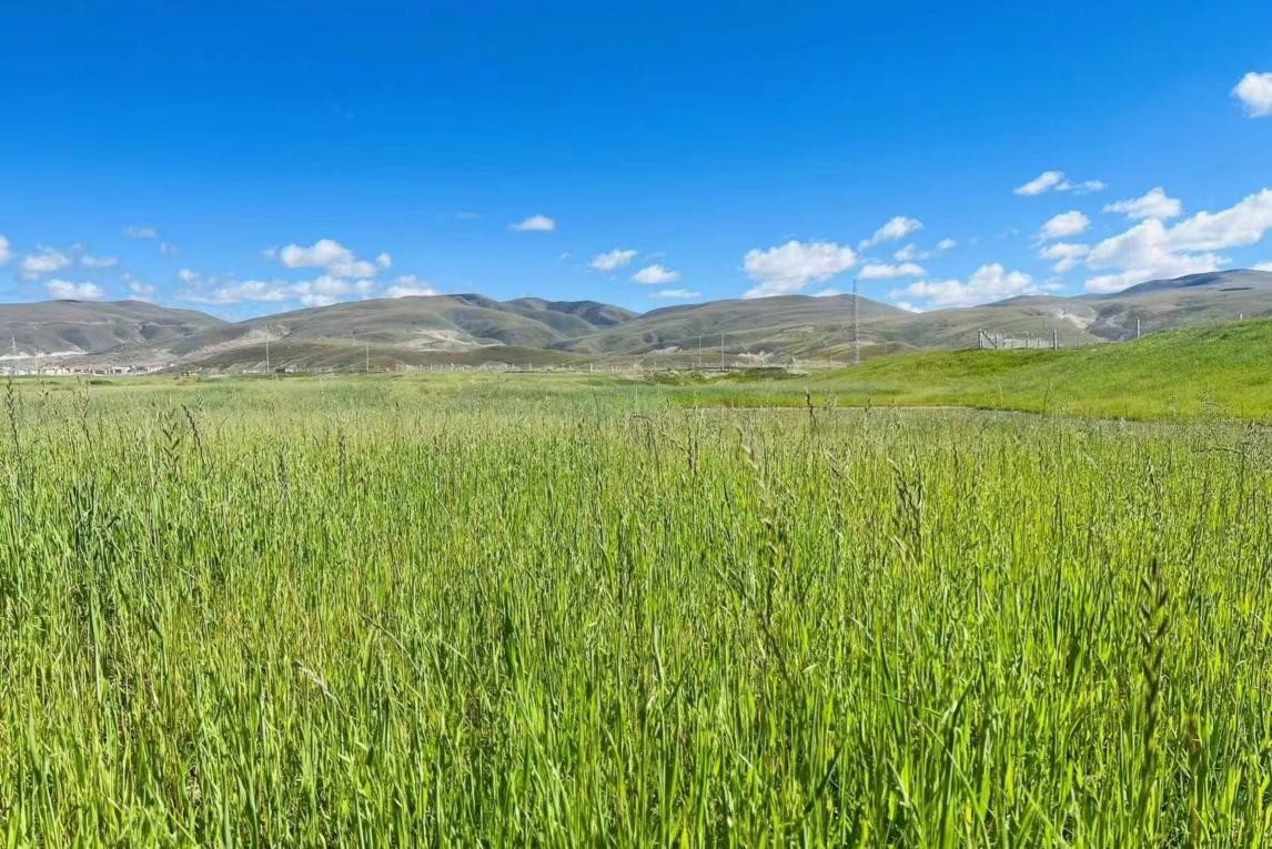 铯视频 铯视频如果你有其他问题