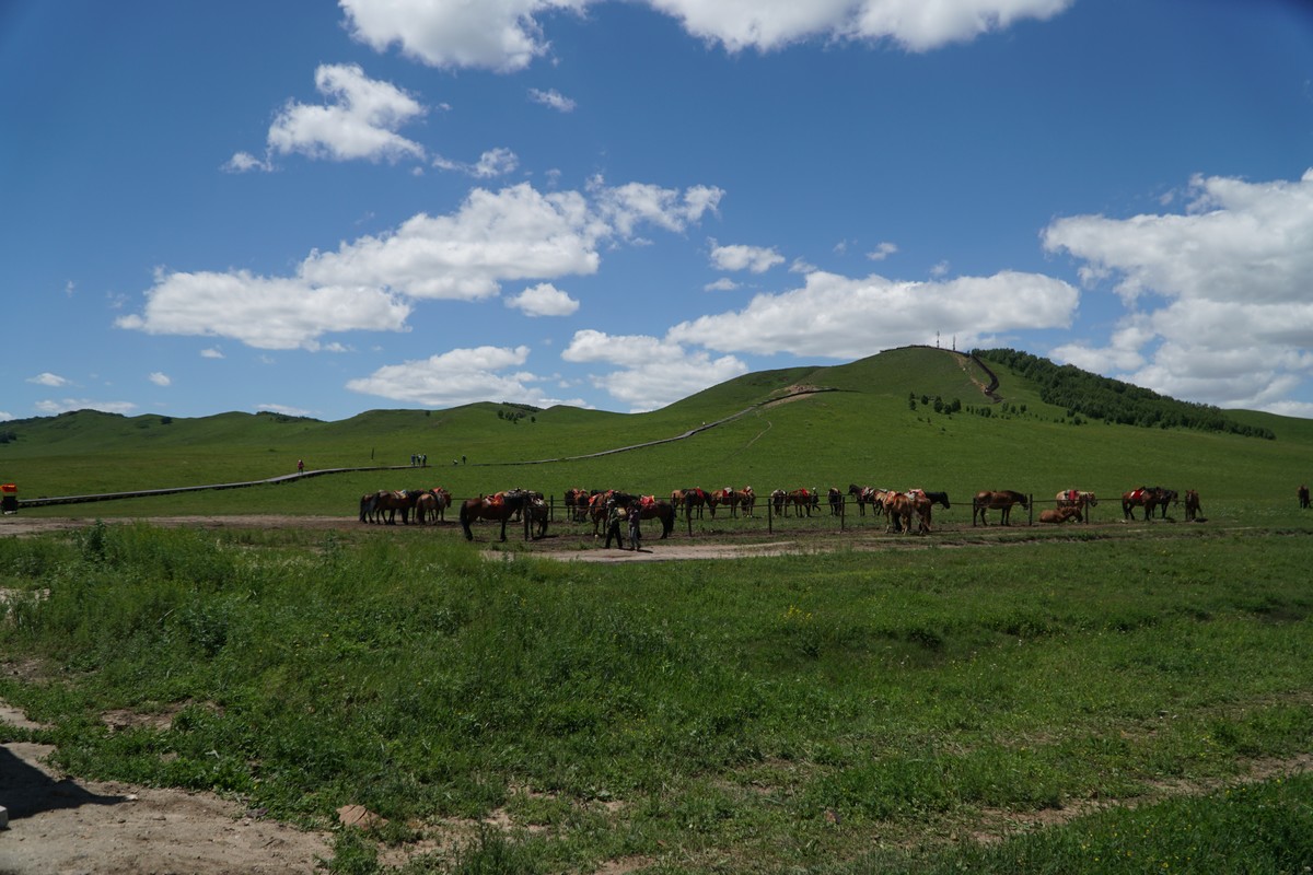 催泪时刻 催泪时刻将毕生心血凝注其中