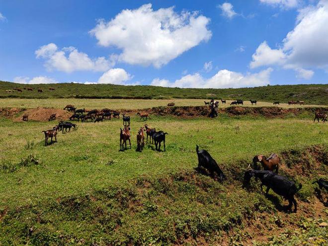 无码av人妻精品一区二区三抖音