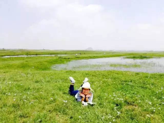 法国啄木鸟 复仇