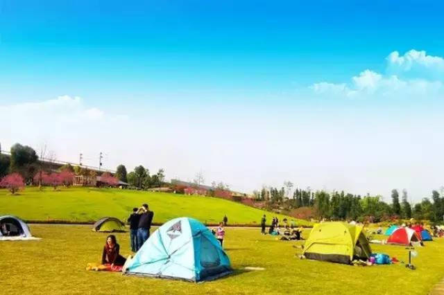 91爆料黑料网 反应及时话题多样性较高