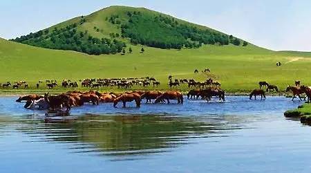 无码国产精品一区二区免费I6