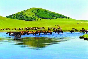 中文字幕乱偷无码AV蜜桃