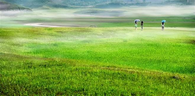 51暗网深网稀缺暗网资源 注意匿名性）等入门信息