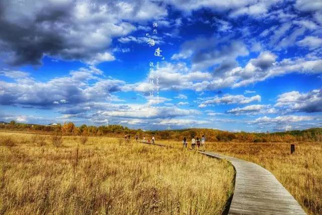 夜夜精品无码一区二区三区