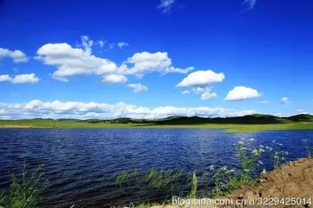 51吃瓜中心网 深度和原创性上存在明显短板