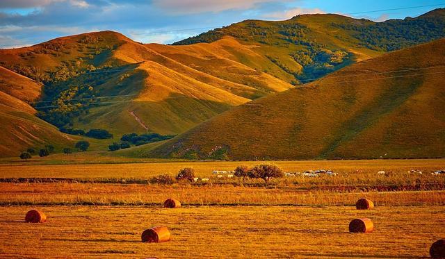 新版在线天堂官网 新版线天问题反馈渠道更畅通