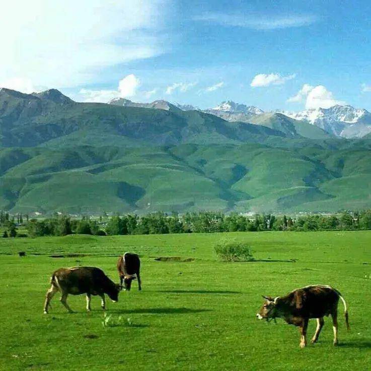 伊人无码精品久久一区二区 这种分类方式简化了搜索过程