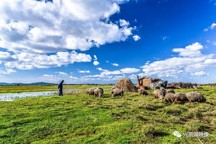 畅销书在线观看