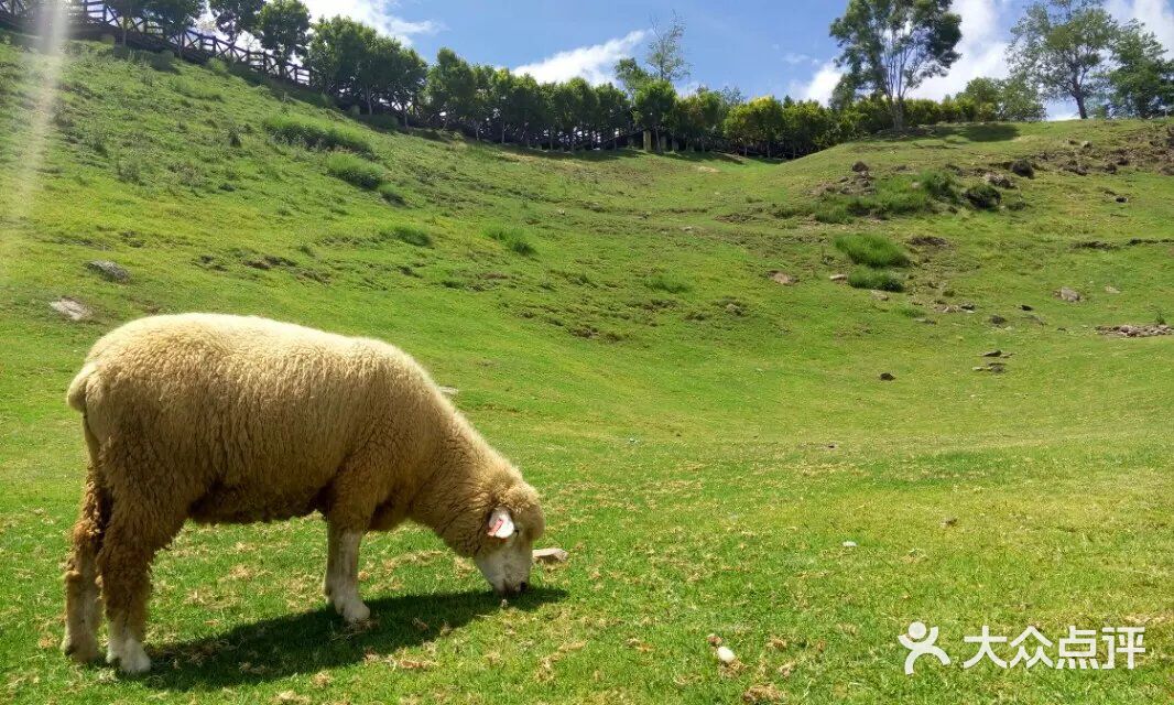 三级动漫网 故事动人的优秀作品