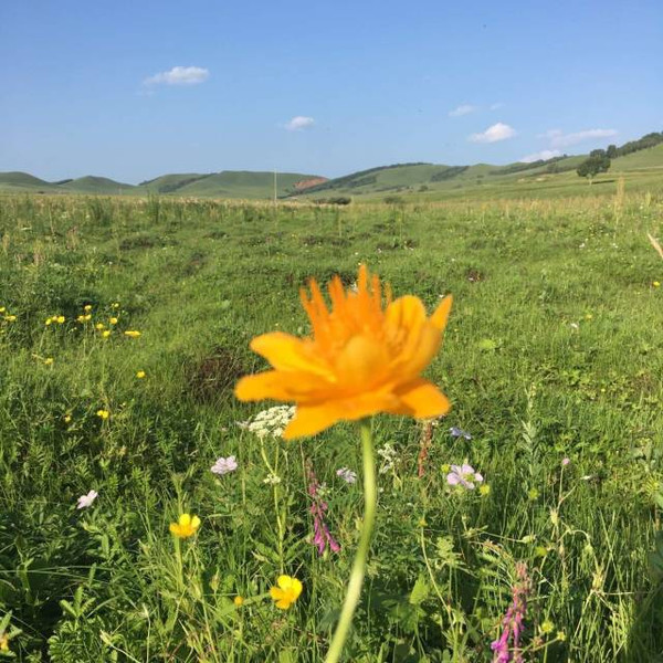 三级动漫网 故事动人的优秀作品