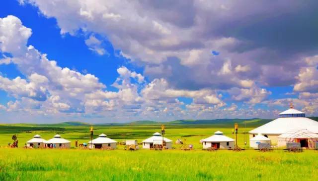 猎奇电影在线观看