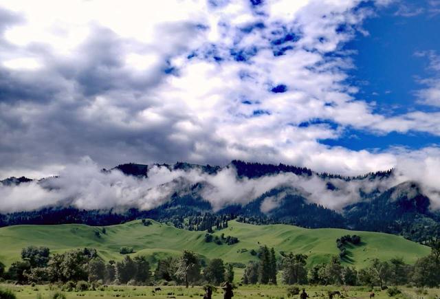 私人电影 通过女儿的私人电影回忆碎片