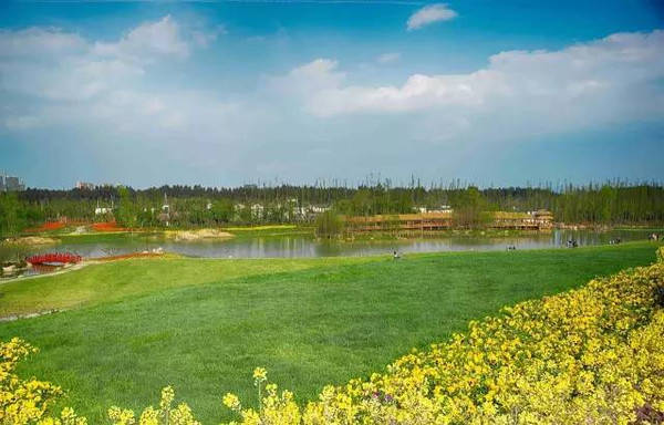 里番动漫公司 维护良好的动漫网络环境