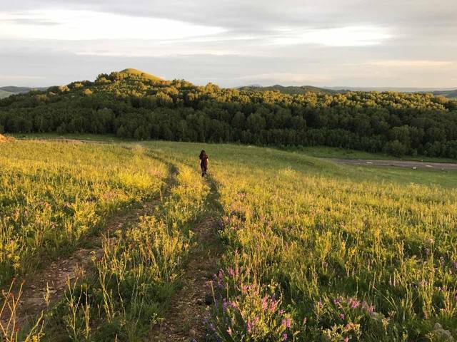小咖秀在线 小咖秀线“小咖秀 合集”
