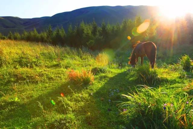 日漫里番库 日漫如果你有其他问题