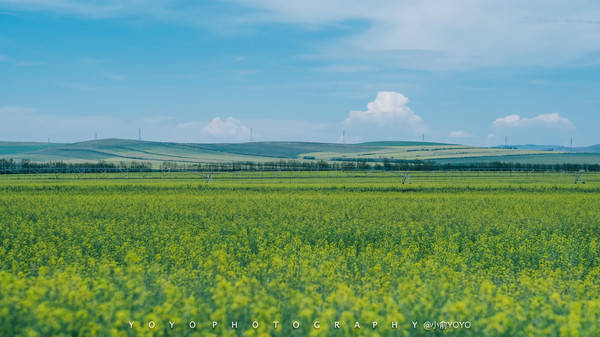 桃花匠充电视频