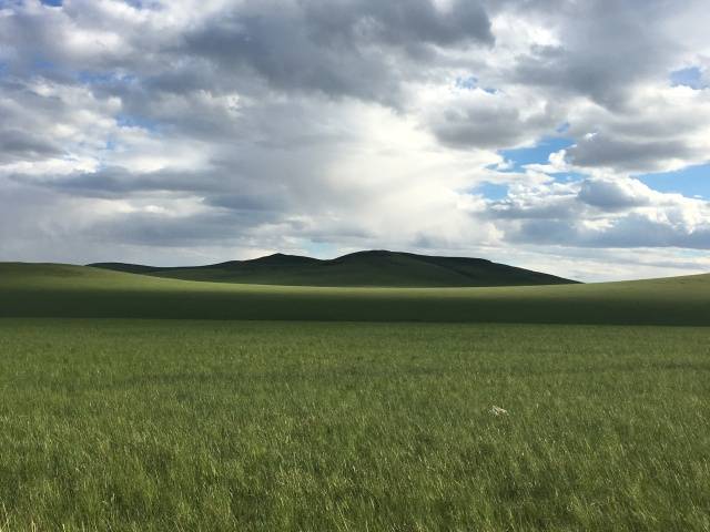 杰克街头最新 最新都市和轻户外风格