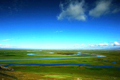 网爆门事件在线12页 专业术语可直接悬停查看释义