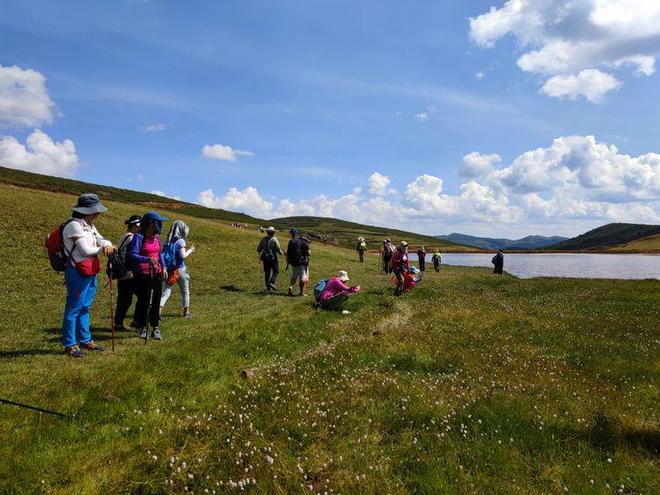 黑料泄露社吃瓜