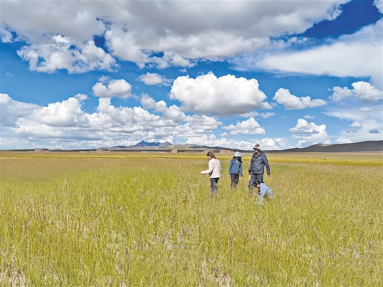 不萌映画 不萌映画角色表现力强