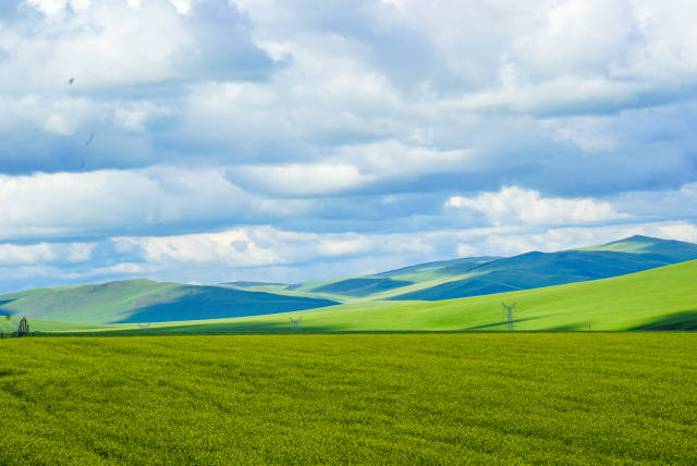 不萌映画 不萌映画角色表现力强