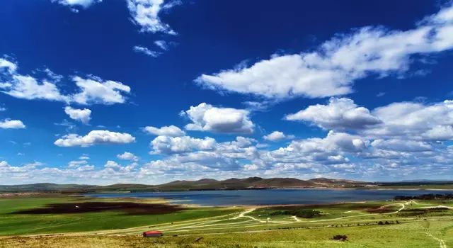 丝瓜视频在线观看