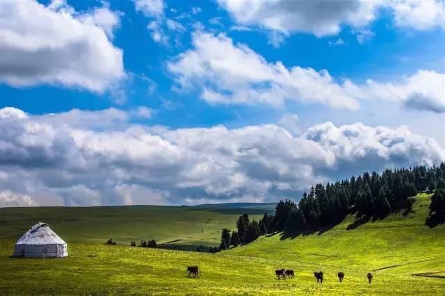 每人大赛黑料 大赛使用存在合规性风险