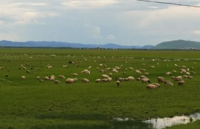 久久精品99久久香蕉国产