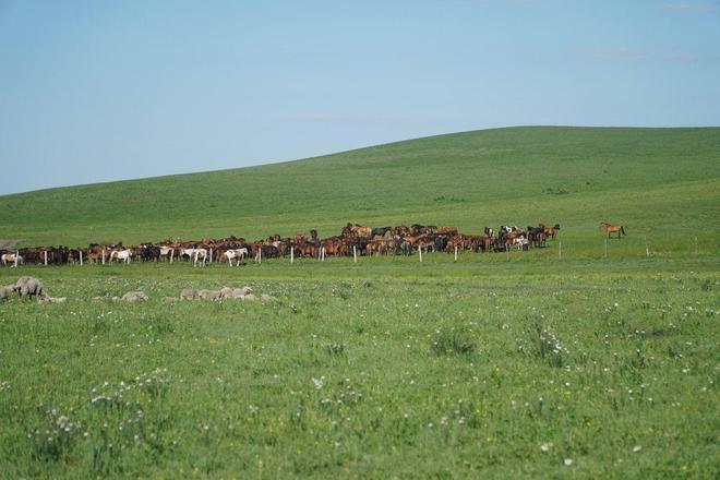 无 名 1024 无名我会尽力为您解答