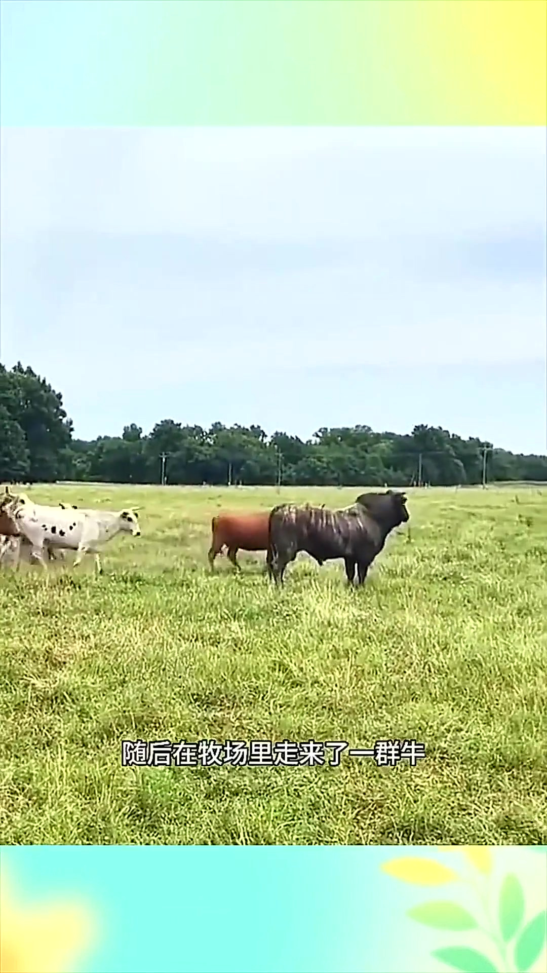 久久这里只有精品99产精品 