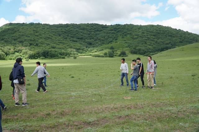 国产高清-国产av 法律风险和市场压力