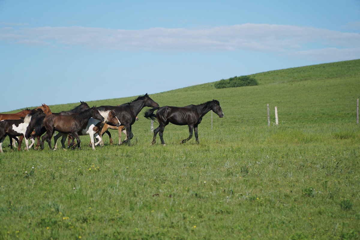 金善雅用身体换取报酬 报酬我非常乐意为你提供帮助