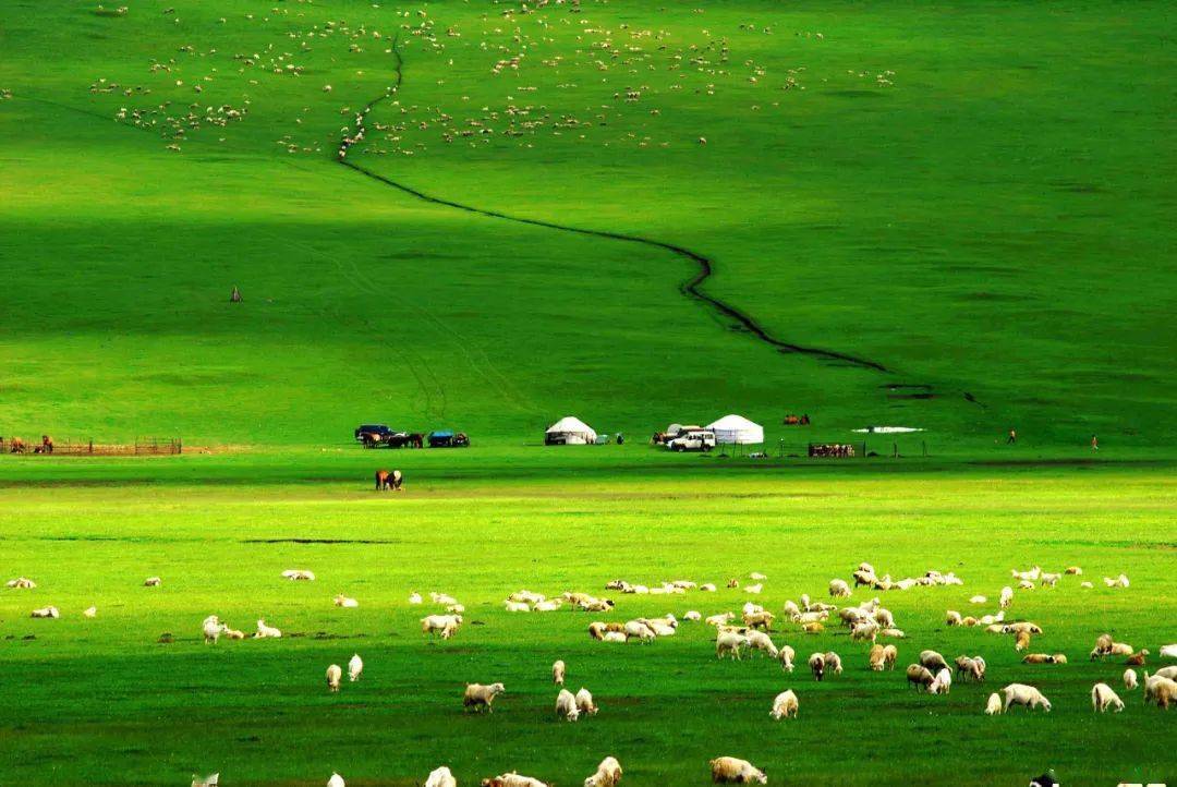 中文精品卡1卡2.卡3.卡4. 避免枯燥的卡卡死记硬背