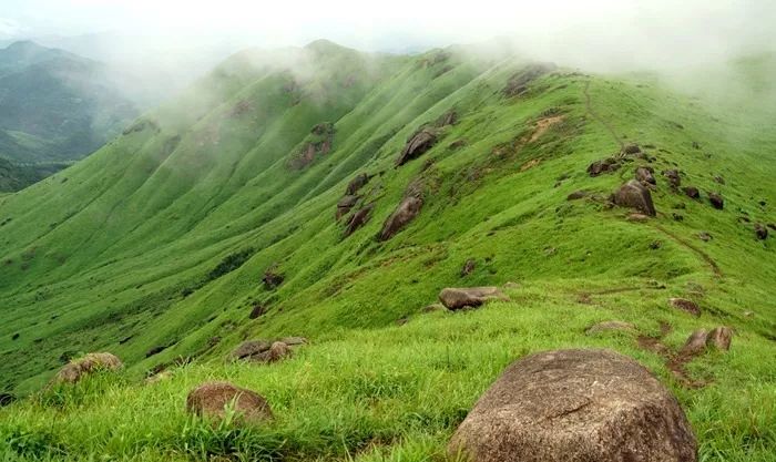 看湿小说 带有抒情或感性风格的小说